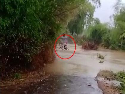 a person with bicycle swept away in flood in gondia district; search operation launched | Video : गोंदिया जिल्ह्यात मुसळधार पाऊस; नाल्याच्या पुरात एकजण सायकलसह वाहून गेला