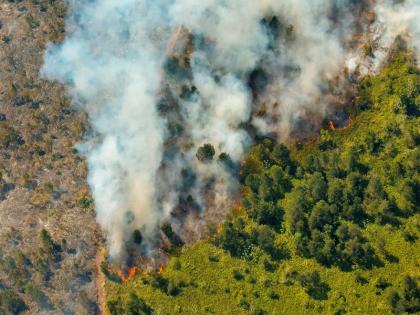 Information will be available on how forest fires will spread after 2 days, technology developed by cdac | C-DAC | जंगलातील वणवा २ दिवसांनंतर कसा पसरणार तेही कळणार, सीडॅकतर्फे तंत्रज्ञान विकसित