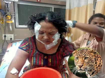 A leopard attacked a woman in Ordnance Factory area of bhadravati | आयुध निर्माणीच्या भरवसाहतीत बिबट्याचा महिलेवर हल्ला; नागरिक दहशतीत