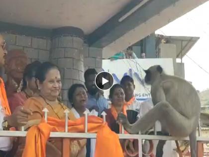 While Sushma Andhare speech was going on, the sudden entry of the monkey; What happened next? see | सुषमा अंधारेंचं भाषण सुरू असतानाच अचानक वानराची एन्ट्री; पुढे काय घडलं? पाहा