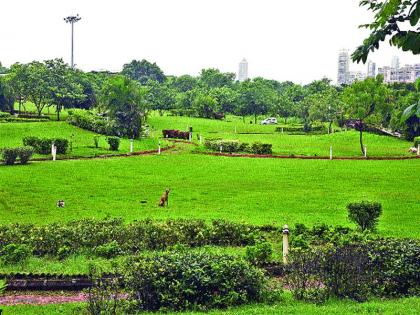 Central Park stops second phase, CIDCO apathy | सेंट्रल पार्कचा दुसरा टप्पा रखडला, सिडको प्रशासनाची उदासीनता