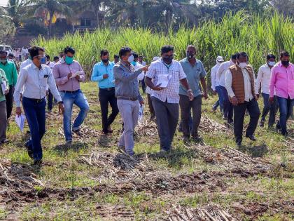 Central team inspects damage in Solapur district due to heavy rains | अतिवृष्टीमुळे झालेल्या सोलापूर जिल्ह्यातील  नुकसानीची  केंद्रीय पथकाकडून पाहणी