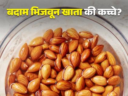 Almonds have toxins in their peels neurologist told truth and what is best way to consume almonds | बदाम-अक्रोड भिजवून खाल्ले नाही तर पोटात भरेल 'विष'? डॉक्टरांनी दिला खास सल्ला