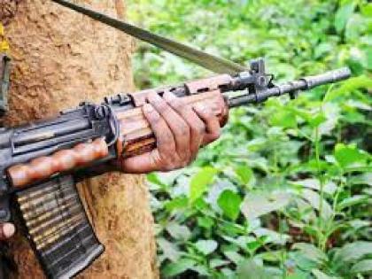 Two Naxals arrested in anti-mining protest in Surjagad | सुरजागडमधील खाणविरोधी मोर्चात सहभागी दोन नक्षलींना अटक