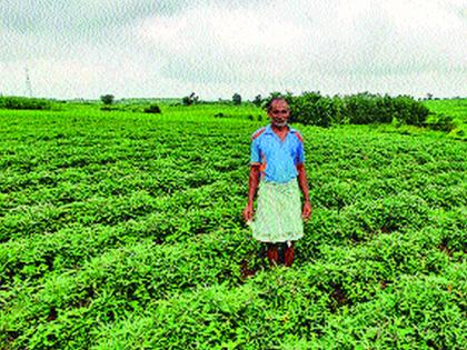 Tribal support of 'Ratalya' | आदिवासींना ‘रताळ्यां’चा आधार