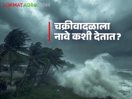 Latest News Montha cyclone How are cyclones that form in Arabian and Bay of Bengal sea named | अरबी आणि बंगालच्या उपसागरात तयार होणाऱ्या चक्रीवादळांना नावं कशी दिली जातात? Latest News Montha cyclone How are cyclones that form in Arabian and Bay of Bengal sea named | अरबी आणि बंगालच्या उपसागरात तयार होणाऱ्या चक्रीवादळांना नावं कशी दिली जातात?