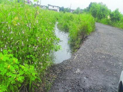 Carrying the road near Chandai; Grass grown on the road, the possibility of an accident | चांदईजवळील रस्त्याचा भराव गेला वाहून; रस्त्याकडेला वाढले गवत, अपघाताची शक्यता