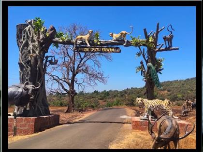 Chandoli National Park open for tourists, forest department bus facility for jungle safari | चांदोली राष्ट्रीय उद्यान पर्यटकांसाठी खुले, जंगल सफारीसाठी वनविभागाकडून बसची सोय