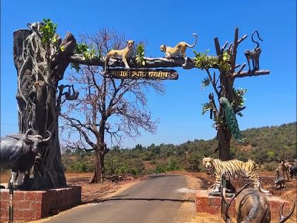 Chandoli National Park and Dam closed for tourists for three days | चांदोली राष्ट्रीय उद्यान व धरण तीन दिवस पर्यटकांसाठी बंद 