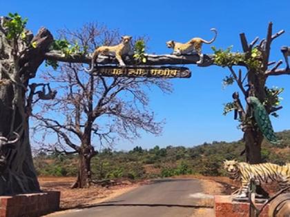 Chandoli National Park closed for tourists from tomorrow | चांदोली राष्ट्रीय उद्यान उद्यापासुन पर्यटकांसाठी बंद