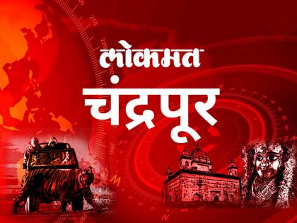 The ancient history of Chandrapur will unfold in the cave of Shankar Lodhi | शंकर लोधीच्या गुफा उलगडणार चंद्रपूरचा प्राचीन इतिहास