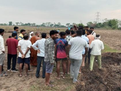 Tiger attacks continue in Chandrapur district; A tiger killed a farmer in Chimur taluka | चंद्रपूर जिल्ह्यात वाघाचे हल्ले सुरूच; चिमूर तालुक्यात वाघाने घेतला शेतकऱ्याचा बळी