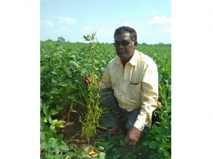 chandrapur farmer got patent for SBG-997 variety of soybean | वरोऱ्याच्या शेतकऱ्याच्या संशोधनावर पेटंटची मोहोर; महाराष्ट्रातील पहिले शेतकरी