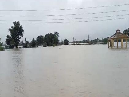 Rivers in Chandrapur district flooded life disrupted | चंद्रपूर जिल्ह्यातील नद्यांना पूर; शेकडो घरे पाण्याखाली, जनजीवन विस्कळीत