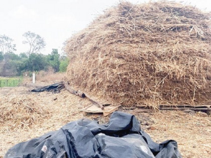 Collector's orders to ban fodder transport from Beed district | बीड जिल्ह्यातून चारा वाहतूकीस प्रतिबंधाचे जिल्हाधिकाऱ्यांचे आदेश, टंचाईस्थितीत उपाययोजना