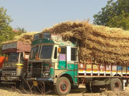 The 'dry bait' of the Chalisgaon area is known as Kadadla | चाळीसगाव परिसरात ‘कोरडा चारा’ कडाडला