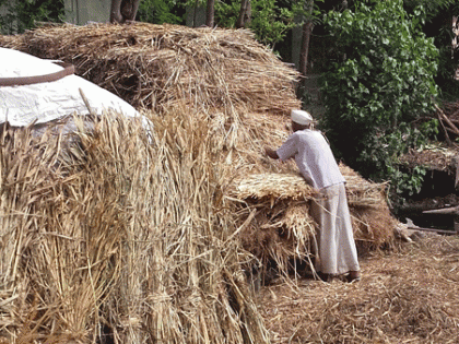 Confirmation by the administration of the organizations for fodder camps | चारा छावण्यांसाठी संस्थांची प्रशासनाकडून मनधरणी