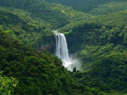 47 students got stuck at charavane waterfall and valpoi goa fire brigade rescued | धबधब्यावर पिकनिकला गेले, पावसाचे पाणी अचानक वाढले; ४७ विद्यार्थी अडकले, अन्...