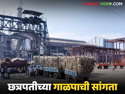 Chhatrapati sugar Factory season end; 7.56 lakh MT sugarcane crushing, second in the district | छत्रपती कारखान्याचा पट्टा पडला; ७.५६ लाख मे. टन ऊस गाळप करत जिल्ह्यात दुसऱ्या क्रमांकावर Chhatrapati sugar Factory season end; 7.56 lakh MT sugarcane crushing, second in the district | छत्रपती कारखान्याचा पट्टा पडला; ७.५६ लाख मे. टन ऊस गाळप करत जिल्ह्यात दुसऱ्या क्रमांकावर