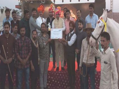 Chetak Festival: 'Chetak' award for 3 lakh in Marwadi Men's Championship | चेतक फेस्टीवल : मारवाडी नर स्पर्धेत ‘चेतक’ 3 लाखांचा मानकरी