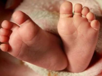 Newborn baby found buried in field in Talandge village Kolhapur | Kolhapur: शेतात नवजात अर्भक पुरल्याचे आढळले, तळंदगे गावात उडाली खळबळ Newborn baby found buried in field in Talandge village Kolhapur | Kolhapur: शेतात नवजात अर्भक पुरल्याचे आढळले, तळंदगे गावात उडाली खळबळ