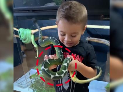 child or kid playing with snake video goes viral on internet | सापासोबत खेळणाऱ्या इवल्याश्या चिमुकल्याचा व्हिडिओ व्हायरल, नेटकरीही पाहुन हैराण