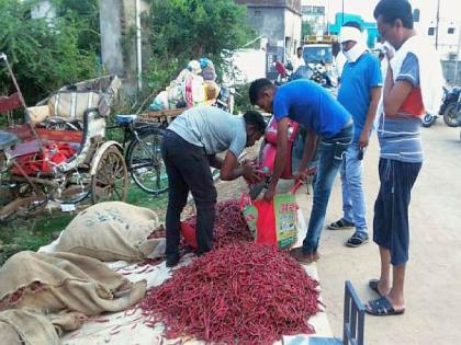 Gadchiroli's chillies cross the state border and reaches to China | गडचिरोलीची मिरची राज्याची सीमा ओलांडून थेट चीनमध्ये