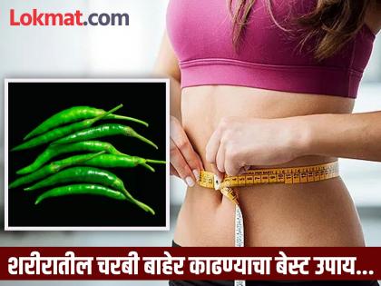 Eating green chilli with roti sabji benefits for reduce belly fat | रोज जेवणासोबत खा 'ही' एक गोष्टी, शरीरातील चरबी वितळून लगेच येईल बाहेर!