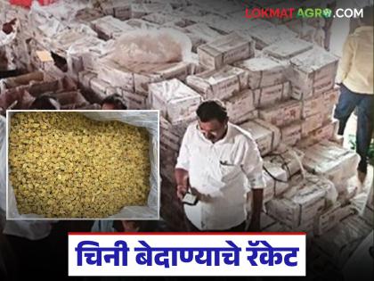 Nearly 200 tons of Chinese raisins re-enter Sangli; Indian raisins adulterated and sold | चीनच्या तब्बल २०० टन बेदाण्याची पुन्हा सांगलीत एन्ट्री; भारतीय बेदाण्याची भेसळ करून विक्री Nearly 200 tons of Chinese raisins re-enter Sangli; Indian raisins adulterated and sold | चीनच्या तब्बल २०० टन बेदाण्याची पुन्हा सांगलीत एन्ट्री; भारतीय बेदाण्याची भेसळ करून विक्री