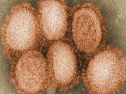 Bird flu: china reports first human case of h10n3 bird flu | bird flu : आता मानवामध्येही बर्ड फ्लूचा संसर्ग, चीनमध्ये पहिल्यांदाच अशा प्रकारची घटना 