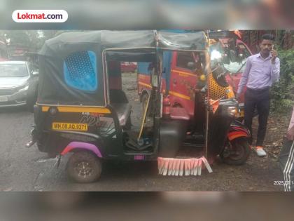 Stray dog hits rickshaw causes overturning Strange accident in Chiplun | भटक्या कुत्र्याच्या धक्क्याने रिक्षा पलटली; प्रवासी सुखरूप पण कुत्र्याचा मृत्यू Stray dog hits rickshaw causes overturning Strange accident in Chiplun | भटक्या कुत्र्याच्या धक्क्याने रिक्षा पलटली; प्रवासी सुखरूप पण कुत्र्याचा मृत्यू