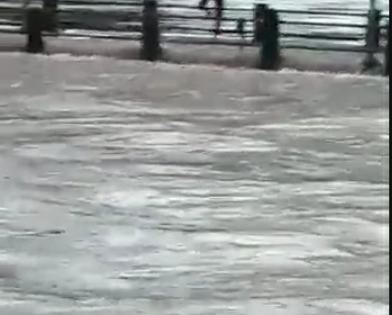 The young man jumped into the Vashishti river which was overflowing | दुथडी भरून वाहणाऱ्या वाशिष्ठी नदीत तरुणाने घेतली उडी