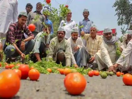 Champaran to Walmart: The Journey of an Indian Farmer | चंपारण ते वॉलमार्ट : भारतीय शेतकऱ्याचा प्रवास