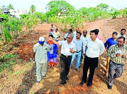  Improve immediate plantation mistakes: Commissioner's order | वृक्षारोपणातील चुका तत्काळ सुधारा : आयुक्तांचा आदेश