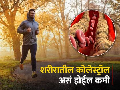 Check cholesterol level in your body these are special measures to reduce learn easy ways to reduce bad cholesterol without medicine | तुमच्या शरीरात कोलेस्टेरॉलची पातळी काय? 'हे' आहेत कमी करण्याचे खास उपाय, जाणून घ्या