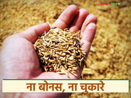 Latest News Payments of Rs. 750 crore for paddy have been pending for the last three months | बोनस तर दिलाच नाही, शिवाय धानाचे ७५० कोटी रुपयांचे चुकारे थकले, शेतकऱ्यांची आर्थिक कोंडी Latest News Payments of Rs. 750 crore for paddy have been pending for the last three months | बोनस तर दिलाच नाही, शिवाय धानाचे ७५० कोटी रुपयांचे चुकारे थकले, शेतकऱ्यांची आर्थिक कोंडी