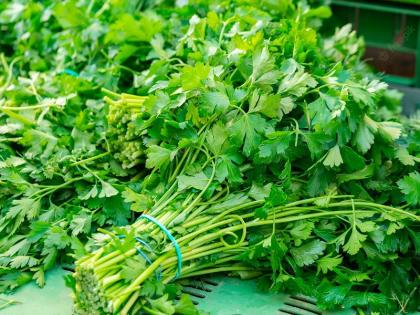 prices of vegetable in market increases cilantro at 30 rupees know today's market prices | भाजीबाजारातही ‘फायर’; कोथिंबीर ३० ला जुडी! जाणून घ्या आजचे फळभाज्यांचे दर