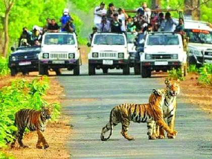 The tourism area of Khursapar in Pench will increase | पेंचच्या खुर्सापारचे पर्यटन क्षेत्र वाढणार