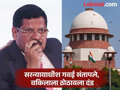 'He made a mountain of rye'; Chief Justice Gavai slaps lawyer who filed a petition in the protocol case | 'राईचा पर्वत केला'; सरन्यायाधीश गवईंनी प्रोटोकॉल प्रकरणात याचिका करणाऱ्या वकिलाला झापले 'He made a mountain of rye'; Chief Justice Gavai slaps lawyer who filed a petition in the protocol case | 'राईचा पर्वत केला'; सरन्यायाधीश गवईंनी प्रोटोकॉल प्रकरणात याचिका करणाऱ्या वकिलाला झापले
