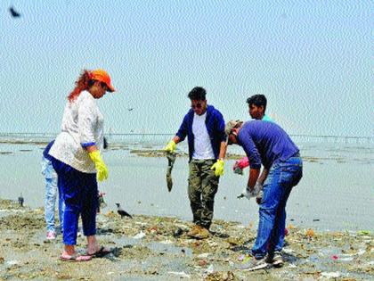 'Beach Please' initiative for cleanliness of Dadar Chowpatty! | दादर चौपाटीच्या स्वच्छतेसाठी ‘बीच प्लीज’ने घेतला पुढाकार!