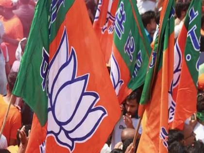 Gram Panchayat Election Result BJP win in Thane district, BJP flag on 25 out of 42 sarpanch posts | Gram Panchayat Election Result: ठाणे जिल्ह्यात भाजपची मुसंडी, ४२ पैकी २५ सरपंचपदांवर भाजपचा झेंडा