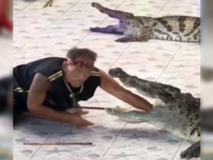 It was expensive to put hand in the jaws of a crocodile while performing a stunt; Watching the VIDEO | बापरे...! स्टंट दाखवण्याच्या नादात मगरीच्या जबड्यात हात घालणं पडलं महागात; VIDEO पाहून तुमचाही थरकाप उडेल