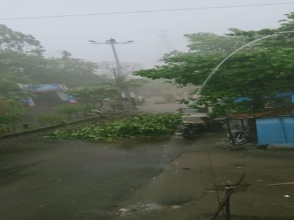 Cloud burst in Solapur in lightning storm with strong winds, uprooted trees in the city; Water ponds in good places | वादळी वाऱ्यासह विजेच्या कडकडाटामध्ये सोलापुरात ढगफुटी, शहरात झाडे उन्मळून पडले; ठीक ठिकाणी पाण्याचे तळे