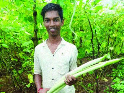 A tribal youth from Dahanu planted a flower garden on a hilltop; The psyche of modern agriculture | डहाणूतील आदिवासी युवकाने डोंगरमाथ्यावर फुलवला मळा; आधुनिक शेतीचा मानस