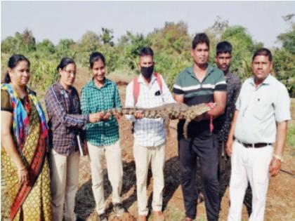 Crocodile rescued in Mangaon after 4 hours rescue operation | तब्बल ४ तासांच्या रेस्क्यू ऑपरेशननंतर माणगावमध्ये मगरीला जीवदान