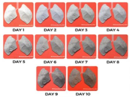 Within ten days the artificial lung blackened; Air quality check, danger level of pollution | दहा दिवसांतच कृत्रिम फुप्फुस काळवंडले; हवेच्या दर्जाची तपासणी, प्रदूषणाची धोक्याची पातळी