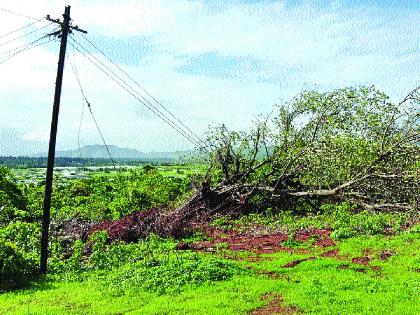 Shrivardhan, Mhasla in darkness for a month; Nature's hurricane blow | Cyclone Nisarga: श्रीवर्धन, म्हसळा महिनाभर अंधारात; निसर्ग चक्रीवादळाचा फटका