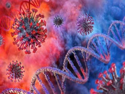 Coronavirus; समुद्रातील ‘या’ संजीवनी वनस्पतीत कोरोनाला रोखण्याची शक्ती; भारतीय संशोधकांचा दावा