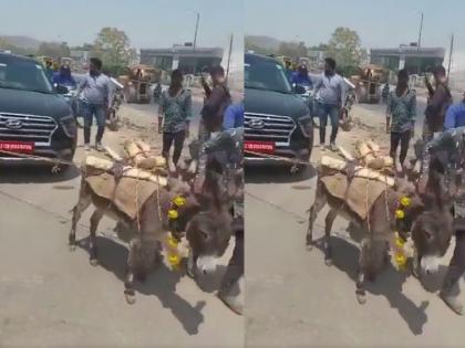 The Hyundai Creta stopped on the road, dragged by a donkey with drumming; See what really happened | रस्त्यातच बंद पडली 17 लाखांची कार, ढोल-ताशा वाजवत गाढवाच्या सहाय्यानं ओढली; बघा नेमकं काय घडलं