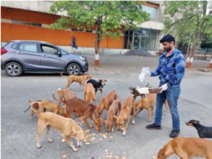 Coronavirus: What did Coronavirus teach ?; Food given to mute animals | Coronavirus: कोरोनाने काय शिकवले?; मुक्या प्राण्यांना दिलं अन्न